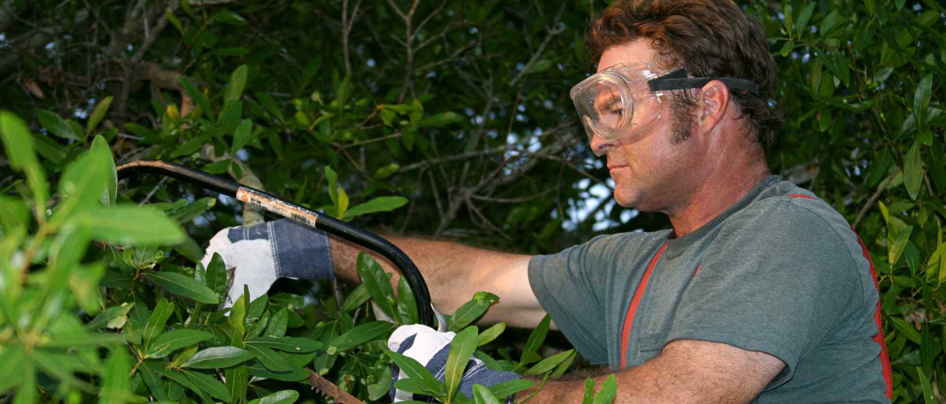 garden clearance EC3