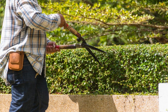 Garden Maintenance Aldgate, Monument, Tower Hill, EC3